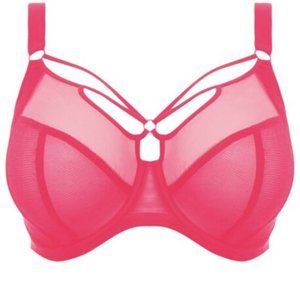 Elomi Sachi UW Plunge - Pink - 38HH US / 38L UK